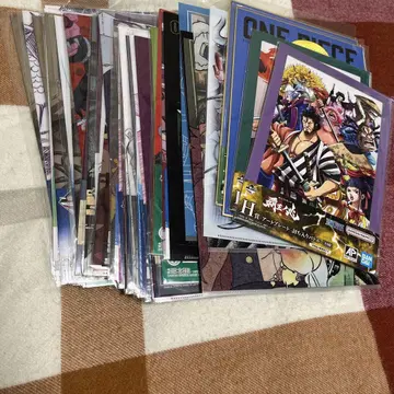 원피스 ONE PIECE 종이류 묶음 판매