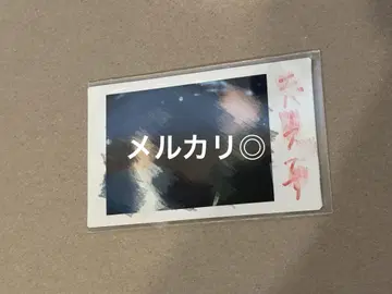 에버스 폴라로이드
