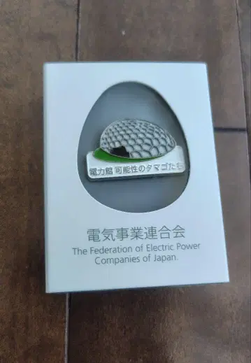 전력관 핀 배지