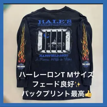 harley-davidson 할리데이비슨 프레임 롱 T L