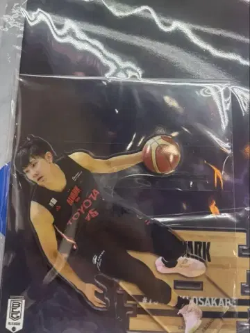 코자카베 야스키 아루바루쿠 도쿄