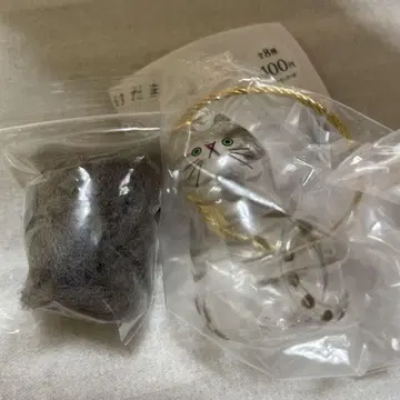 우리 아이의 털뭉치, 키지트라