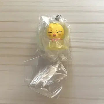 SKZOO 가챠 메지루시 액세서리 포가리 Stray Kids