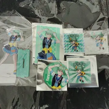 토키메모 메모리얼 타테바야시 미하루 굿즈 세트 30
