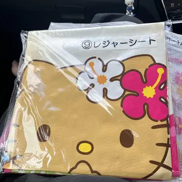 키티 제일복권 일광화상 키티 얼굴 모양 파우치 레저 시트