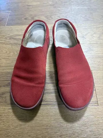 BIRKENSTOCK BARRIE 발리 레드 스웨이드 37