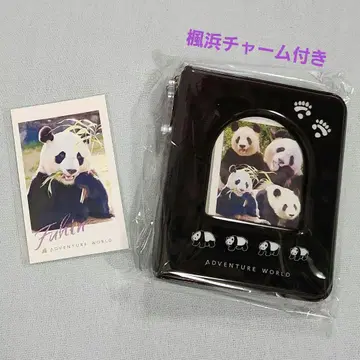카에데하마 미니 앨범 폴라로이드 카드 어드벤처 월드 팬더