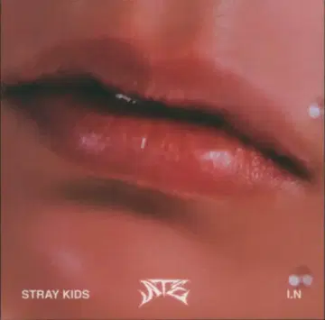 스트레이키즈 아코디언 버전 I.N ATE