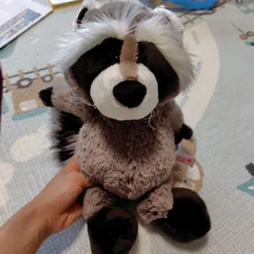 nici 아라이구마