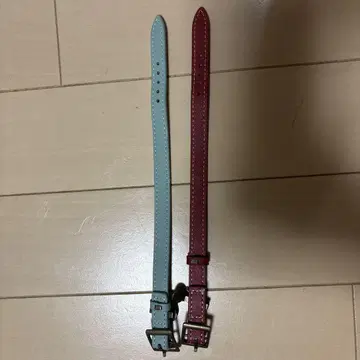SaucyDog 오너스 밴딩 빨간색, 스카이블루