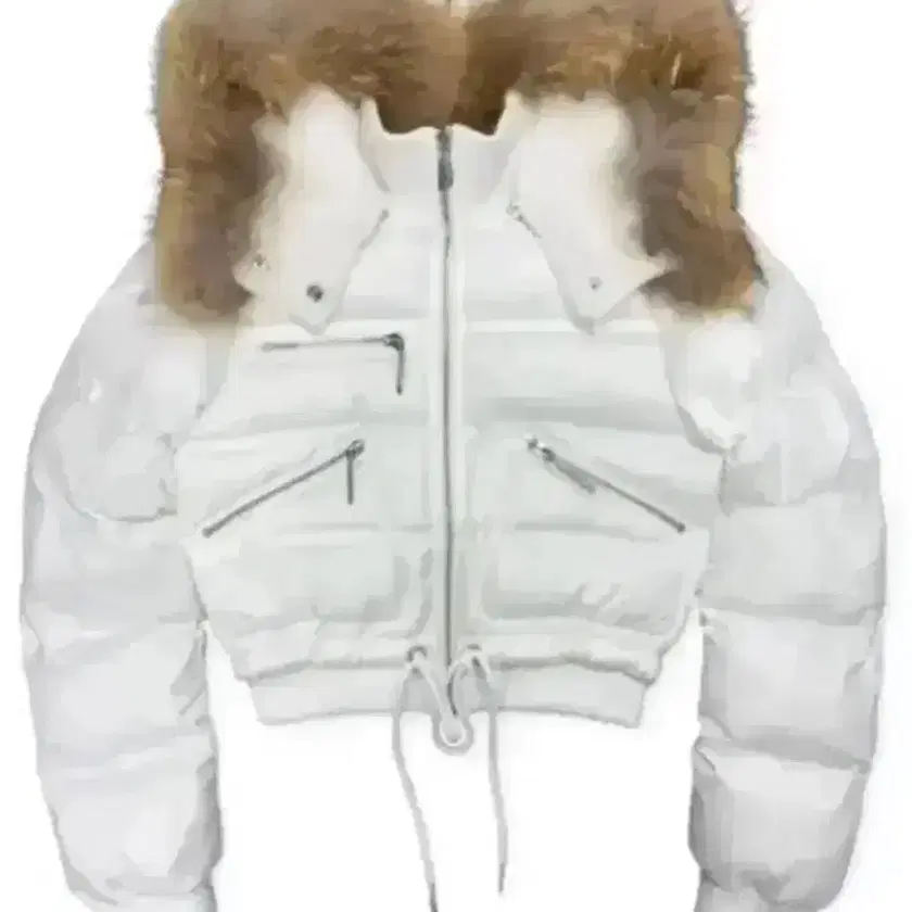★早期完売★PALE JADE★Raccoon Hooded Puffer Jacket★大人気 PALE JADE | 페일제이드 Pale Jade Raccoon Padded Hooded