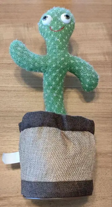 춤추는 선인장 음악 녹음 기능