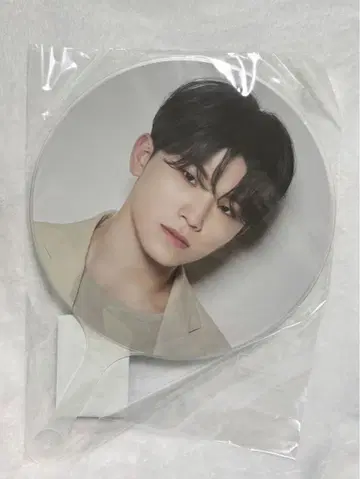 SEVENTEEN 세부치 incomplete 우지 부채