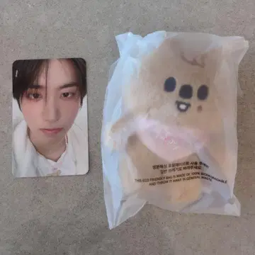 한 straykids 10cm 인형 straykids 팬 미팅