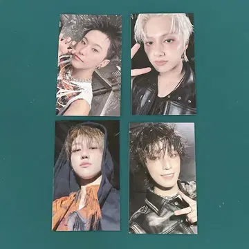 유니버셜 라키드로 세븐틴 파포치