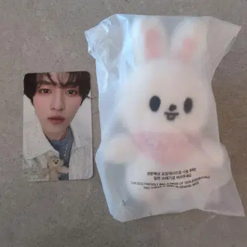 리노 Lee 비트 straykids 10cm 인형 펜미
