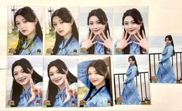 이긴나리 도호쿠산 안토 깃털 브로마이드 사인 포함 9장 세트