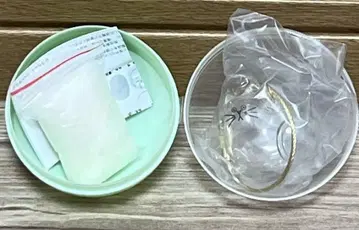 우리 아이의 케다마다마 노멀 무늬 없음 정품