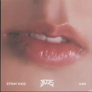 스트레이키즈 아코디언 버전. 한 아테