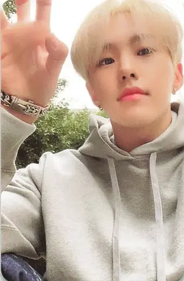 세븐틴 호시 [Heng:garae] HANA ver.