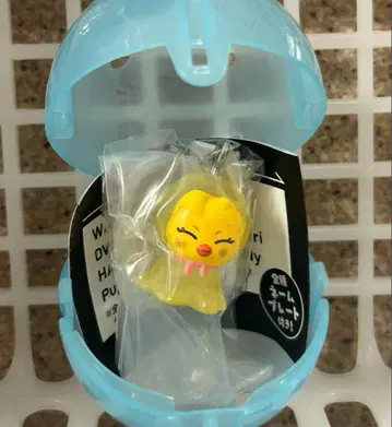 skzoo 메지루시 액세서리 포가리