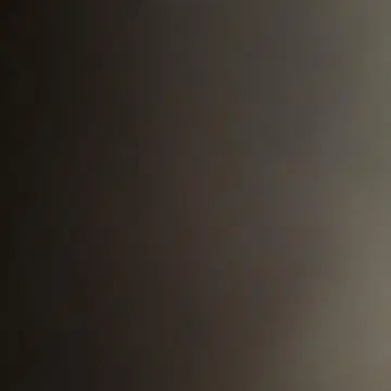 레오나르 카슈쿨 블라우스 블랙 플라워 무늬