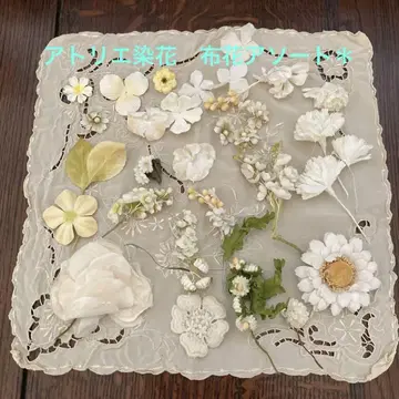 천 꽃 흰 꽃 모듬