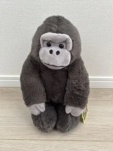 우호호 고릴라의 고리 군 정좌