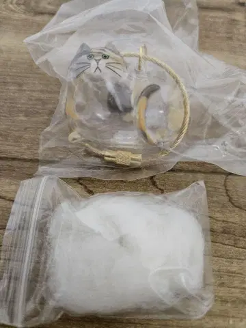 우리 집의 케다마 삼색 고양이