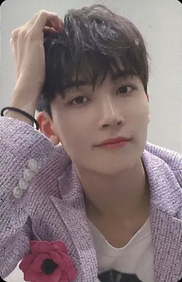 SEVENTEEN 일반ver JEONGHAN 춤추듯 떨어지는 꽃잎