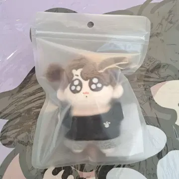 정국 마스터 모크님 구크 투기 봉제 인형 10cm 구크투기