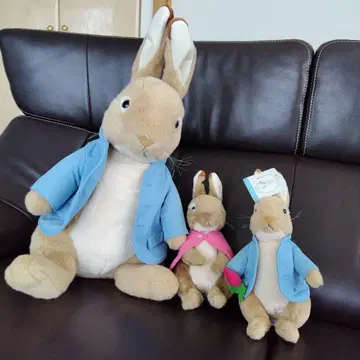 피터 토끼 봉제 인형 3종 세트