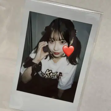 큐스토 사쿠라바 하야카 폴라로이드 대혜택회
