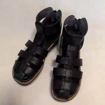 비타 노바 바클레이