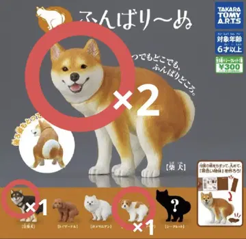 펑바리~누 가챠가챠