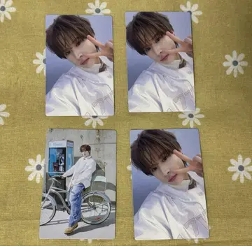 TWS 트레이딩 카드 서울 네이비 경민
