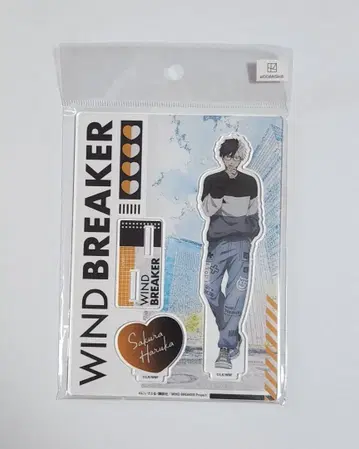 WIND BREAKER 윈브레 벚꽃 하야 안경 아크릴 스탠드