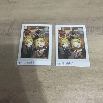 여름 사진 비바스