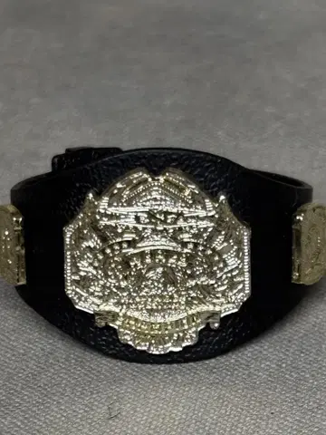 TNA 챔피언 벨트 WWE