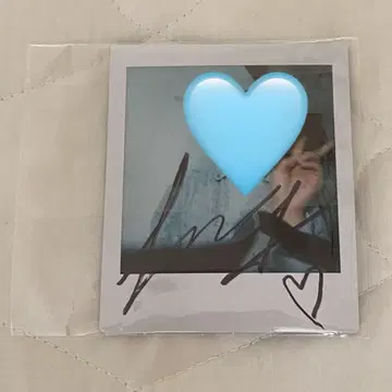 wei 요한 폴라로이드 폴라
