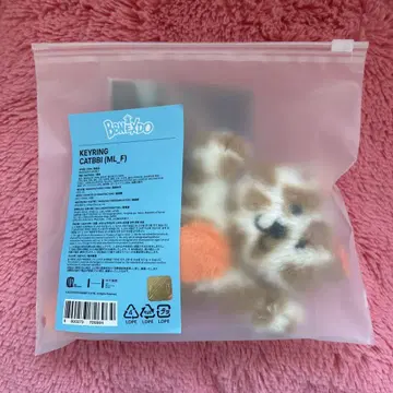 보이넥스트도어 BBNEXDO CATBBI 키링