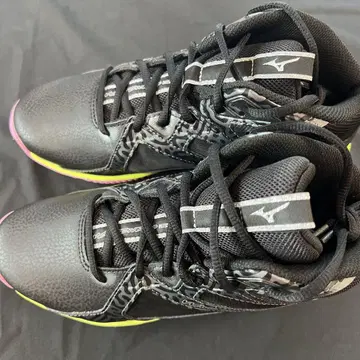 미즈노 웹 다이버스 24.0cm 새상품