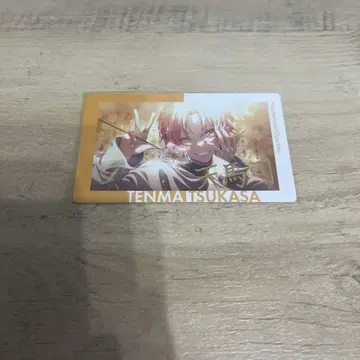 텐마 츠카사 18B 금박