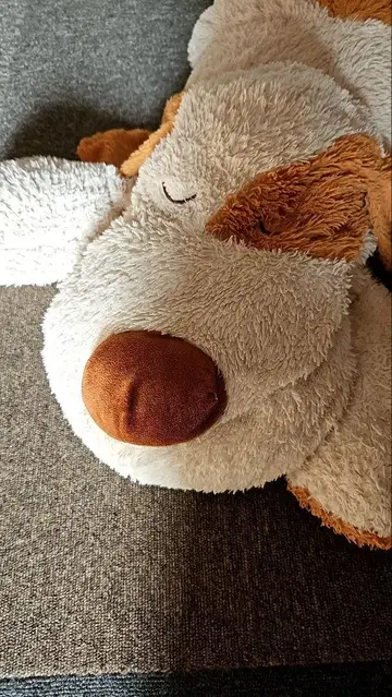 오타니 쇼헤이와 같은 봉제 인형 Nitori