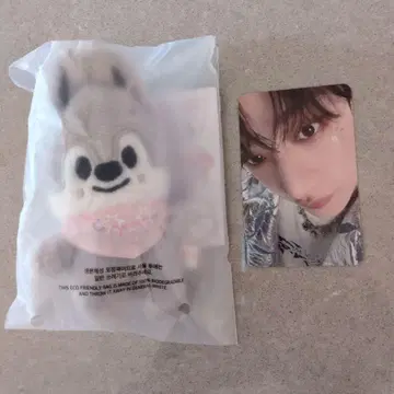 straykids 반찬 10cm 인형 울프찬 펜미