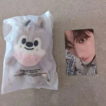 반찬 울프찬 펜미 straykids 10cm 인형