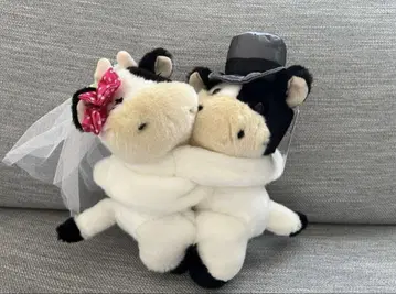 신랑 신부 웨딩 소 봉제 인형 모모 웰컴 인형 결혼식
