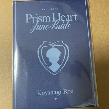 니지산지 준 브라 특전 코야나기 로우