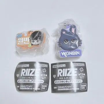RIIZE 가챠가챠 일본 한정판 통통한 메지루시 액세서리 원빈