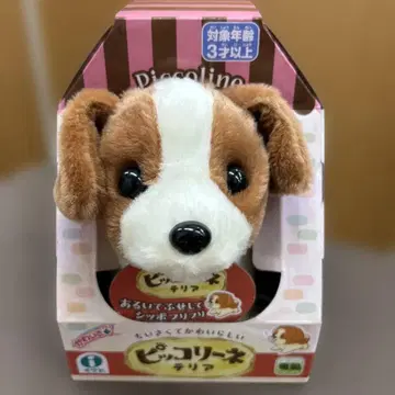 짖는 완구 피코리네